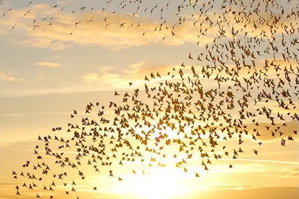 Location voiture longue durée : comment se passe la restitution ?