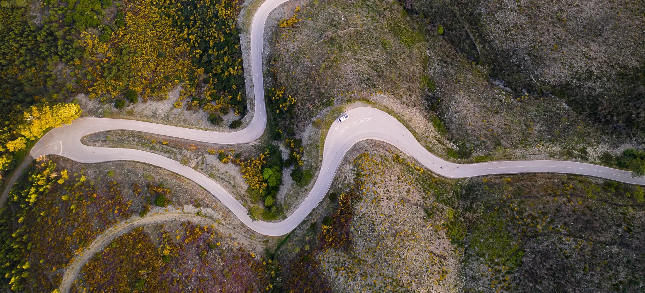 A propos de Locafinance